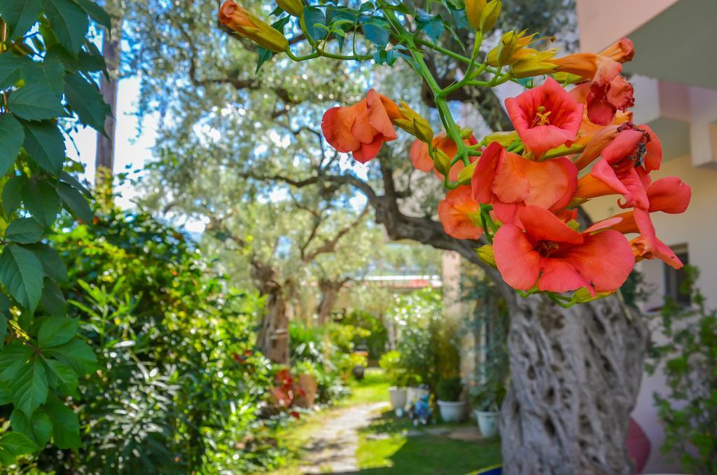 Villa Eden Limenas (Thasos) Exterior foto